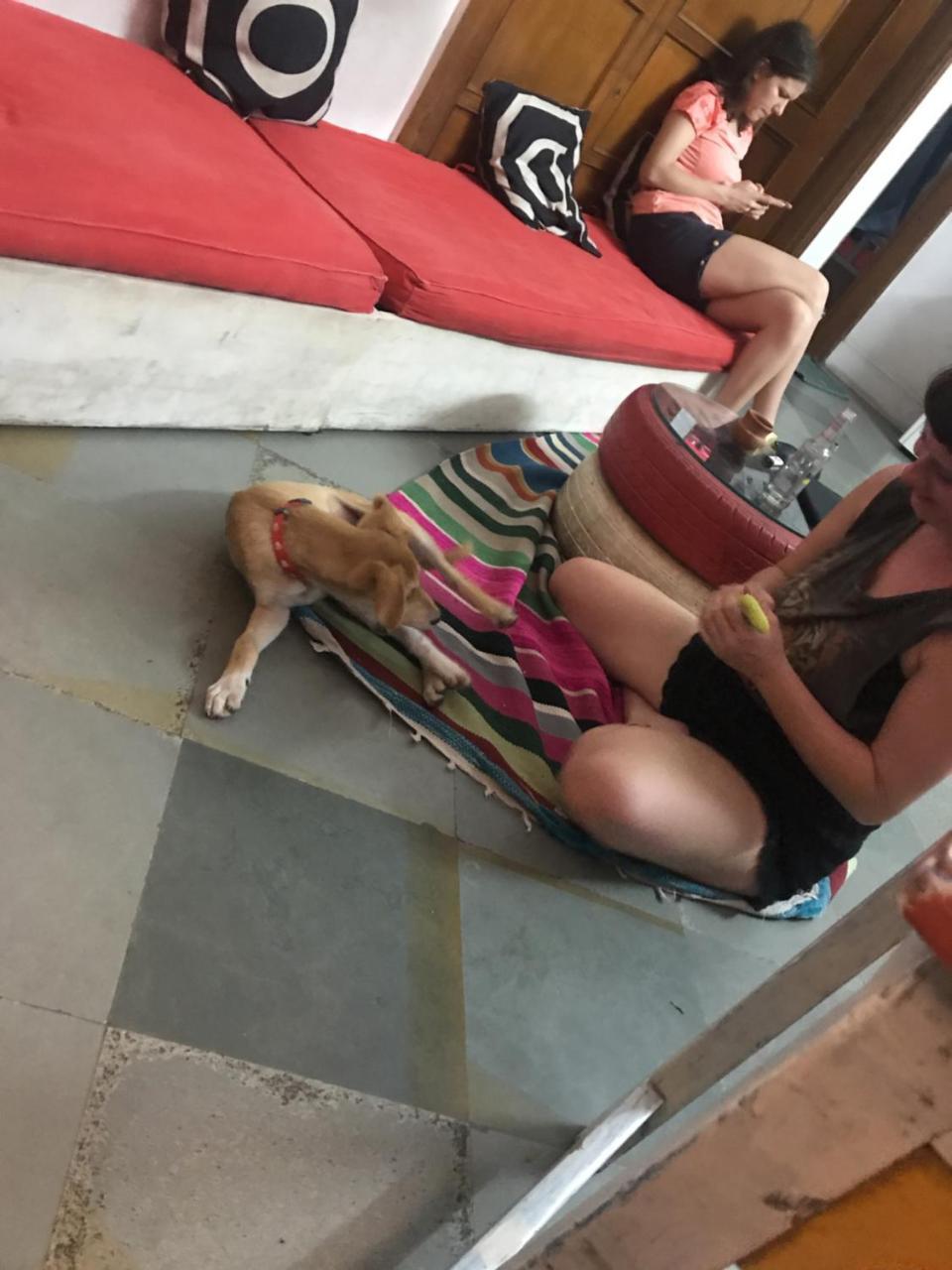Doodle Rack Pansiyon Jaipur Dış mekan fotoğraf