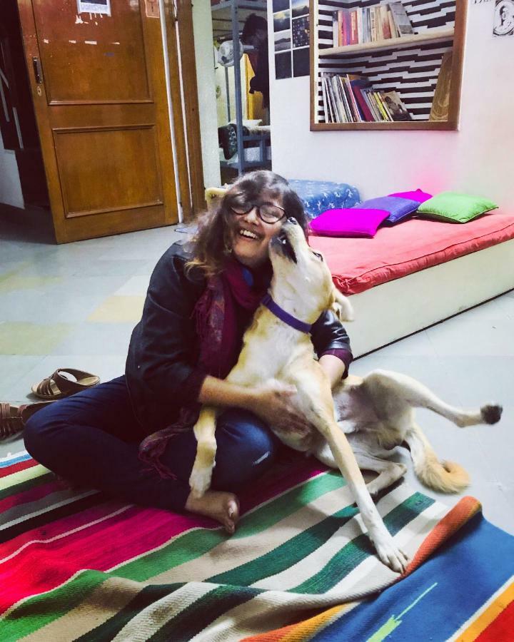 Doodle Rack Pansiyon Jaipur Dış mekan fotoğraf